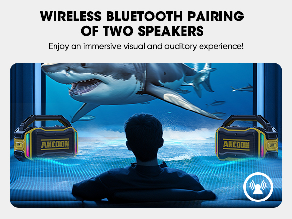 bluetooth speaker for house