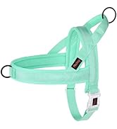 Didog No Pull Dog Harness with Breathable Mesh Padded, Quick Fit &amp; Easy on Dog Vest Harness for S...
