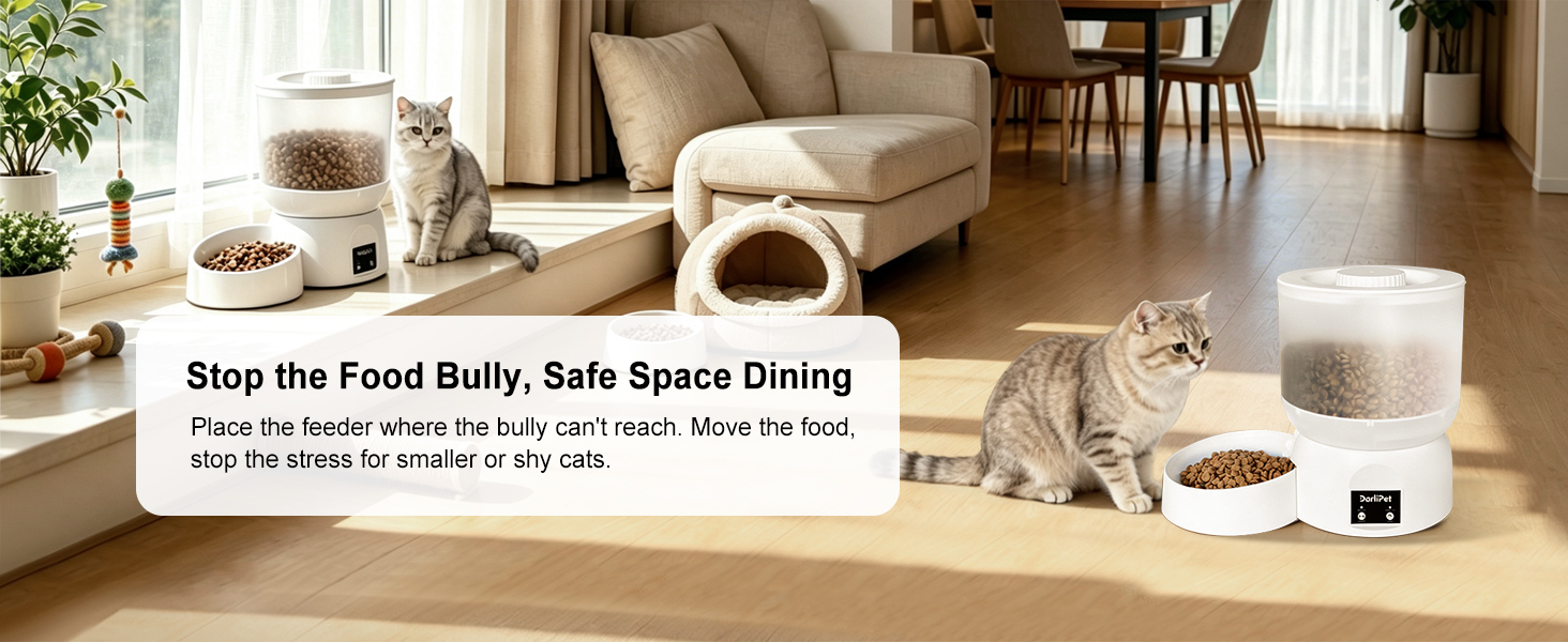 Cordless cat auto feeder better for avoiding the food bully