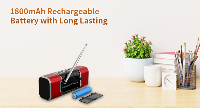 FM Radio Bluetooth Speaker