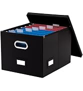 PRANDOM File Organizer Box - Set of 1 Collapsible Decorative Faux Leather Filing Storage Hanging ...