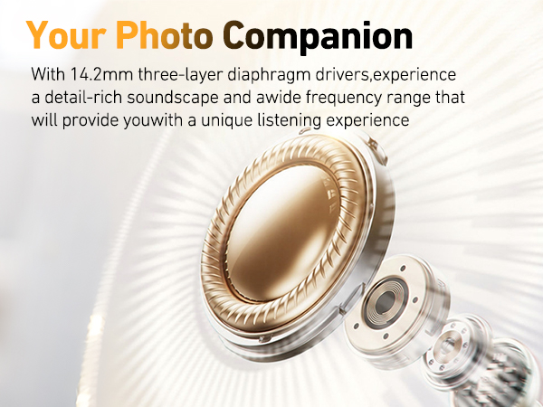 NE72 Translation Earbuds