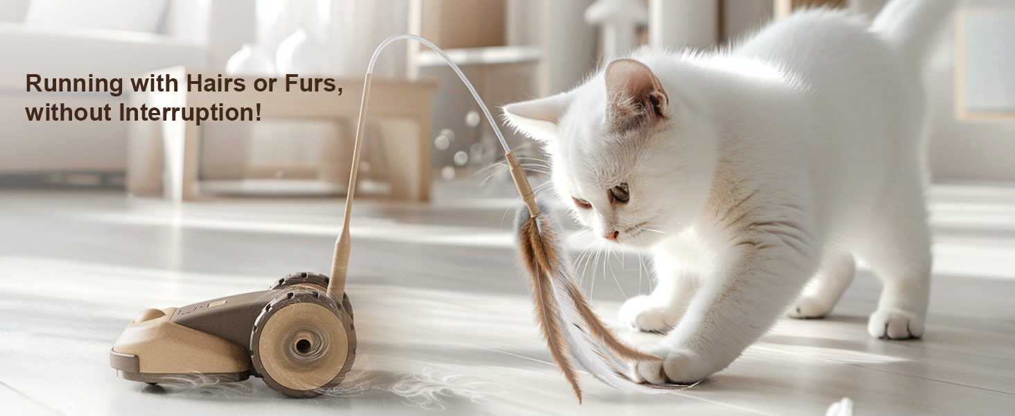Interactive Cat Toy