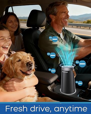 car air purifier