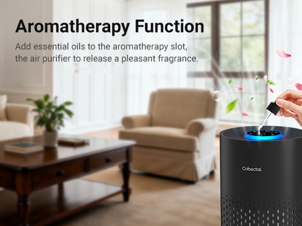 air purifier