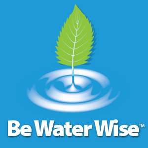 Water Wise infographic