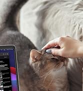 laptop lap desk