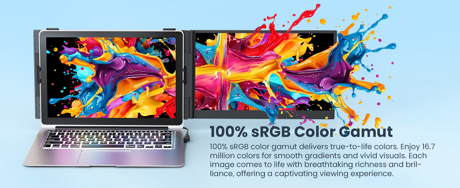 100% sRGB Color Gamut