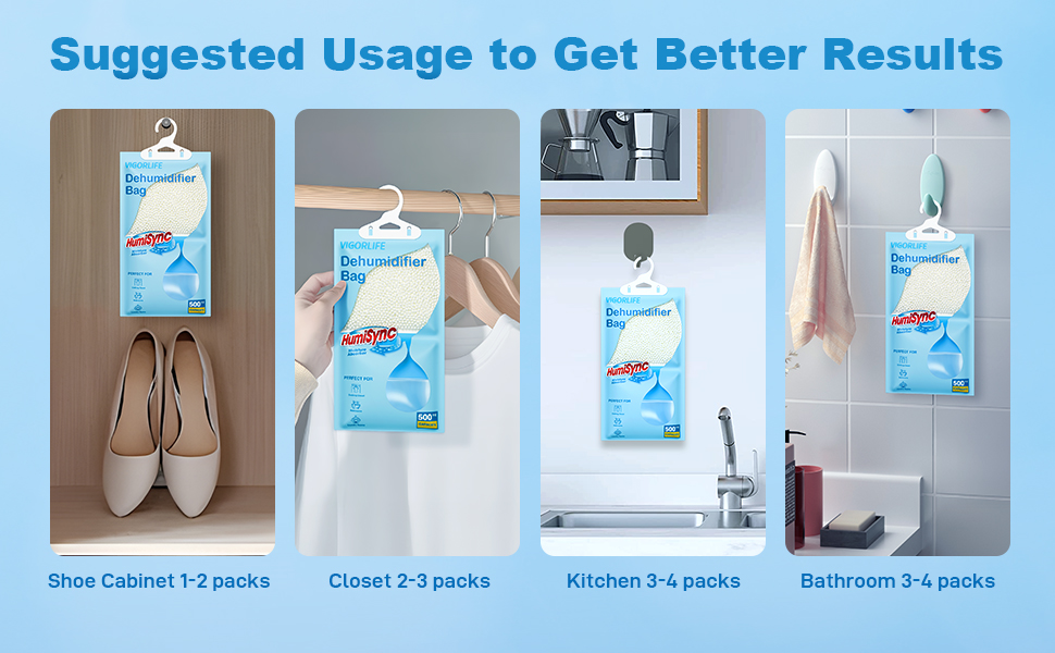 damp rid hanging bag