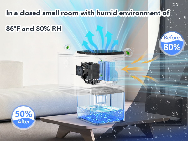 Powerful dehumidification for a comfortable space 