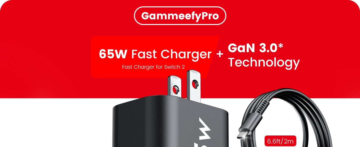 nintendo switch 2charger