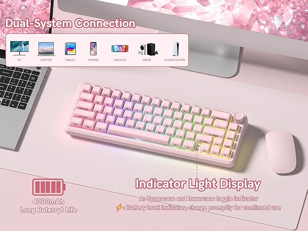 Dual-System Connection