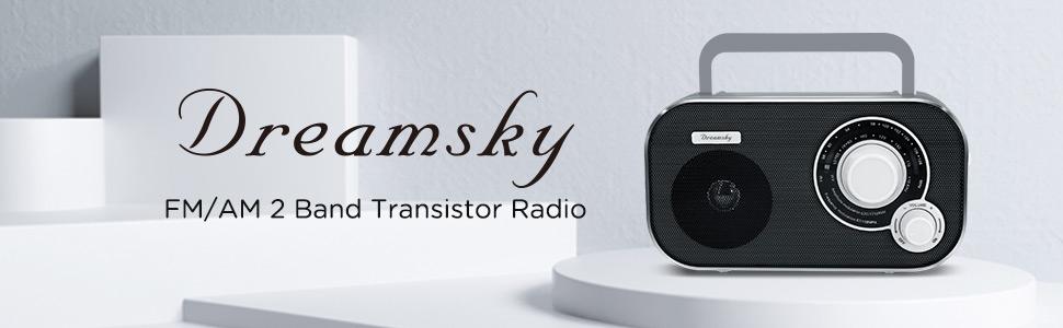 DreamSky am fm portable radio