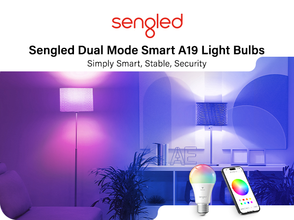 smart switch and smart bulb
