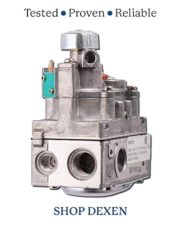 Dexen electronic gas valve