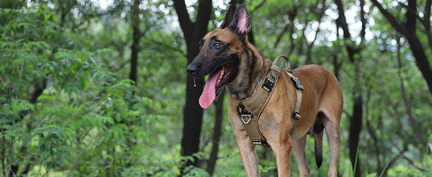 dog harness no pull