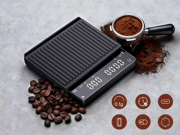 High Precision Scale