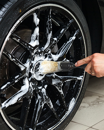 Tire Brush