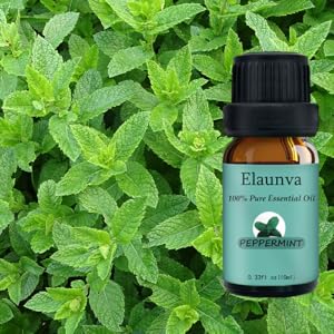 Peppermint