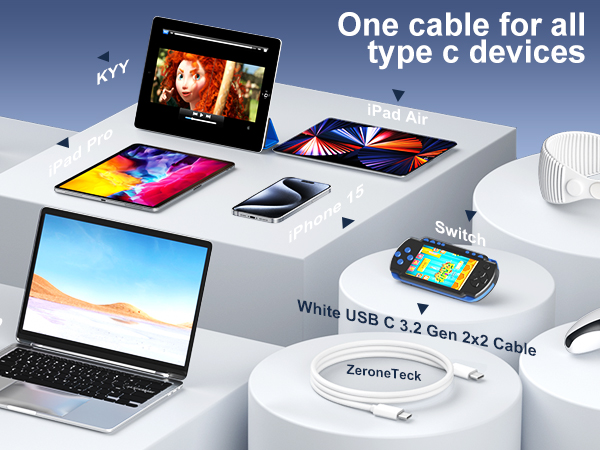 usb c monitor cable 6.6ft