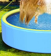 kiddy pool for dogs