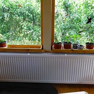 Flower Plant Container