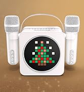 karaoke system karaoke equipment karaoke machine with 2 microphones