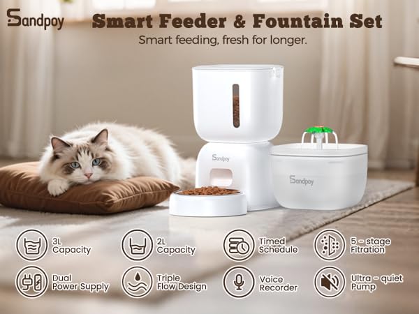 cat feeder automatic