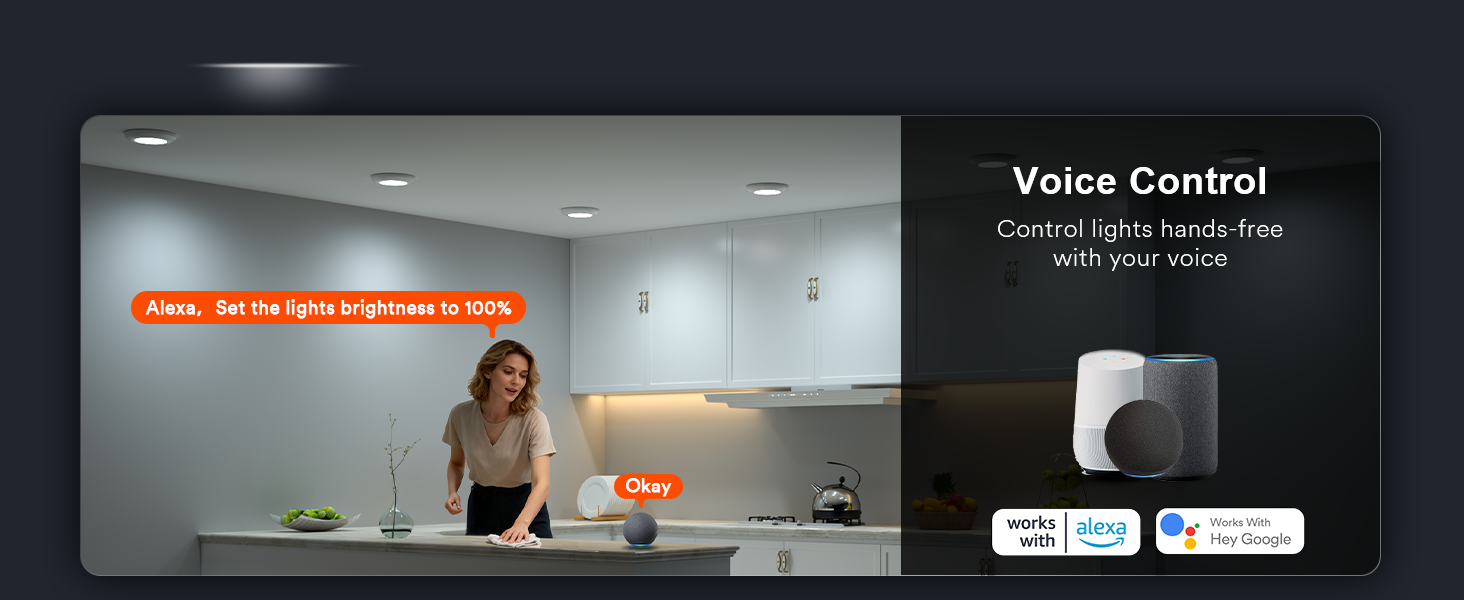 disk light pro