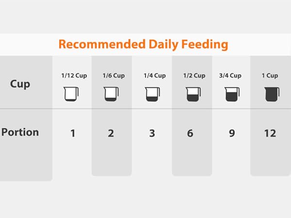 cat automatic feeders