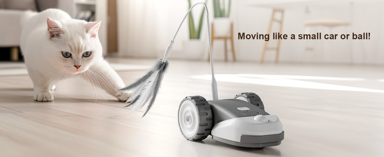 Interactive Cat Toy