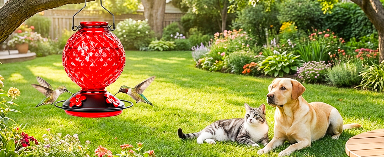 Glass Hummingbird Feeder