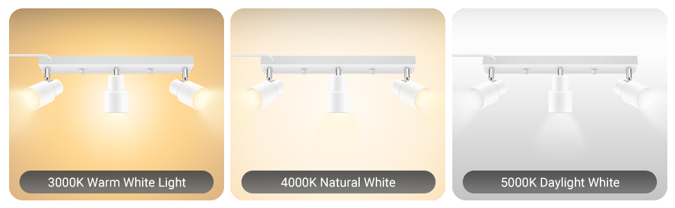 3 light track lighting