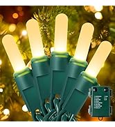 YOUNGAR Green Wire Christmas Lights,50LED Battery/USB Operated String Light,Twinkle Lights with T...