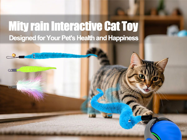 cat toy