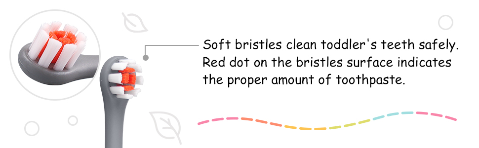 toothbrush
