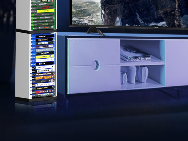 video game storage