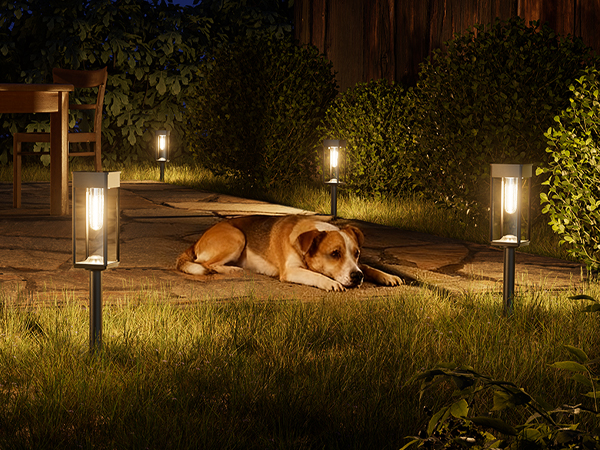 Solar Yard Lights