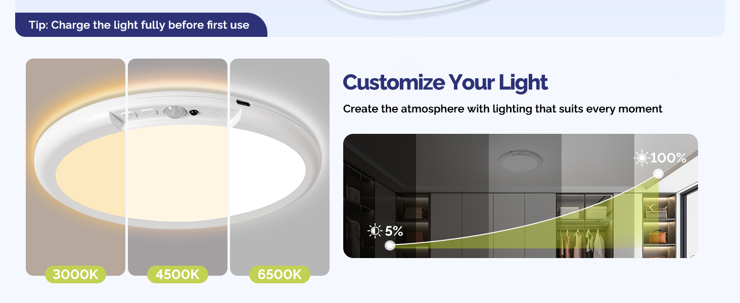 attery Operated Ceiling Light with Remote