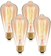 60 Watt Incandescent Edison Light Bulbs, Vintage Dimmable E26 Bulbs, ST64 2200K Warm White Antiqu...