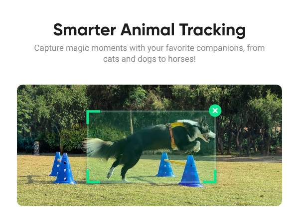 Intsa360 Flow 2 White Gimbal Stabilizer for Smartphone