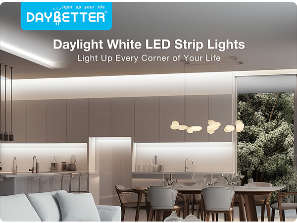 White LED light