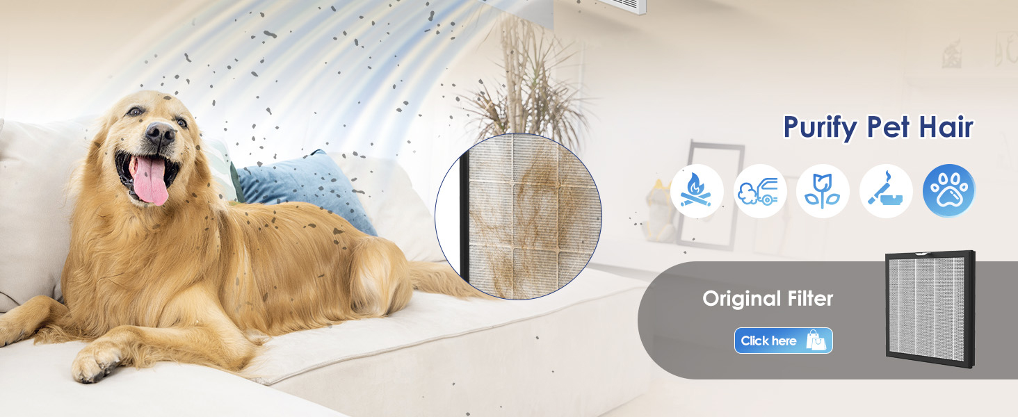 Air Purifiers for Home Large Room