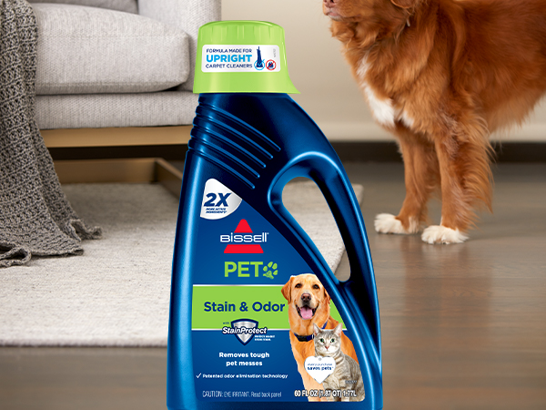 spot and stain formula, carpet shampoo, carpet cleaner, carpet cleaner formula, stain remover