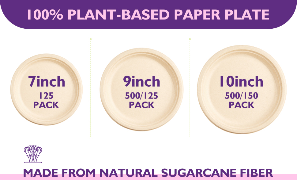 paper plate