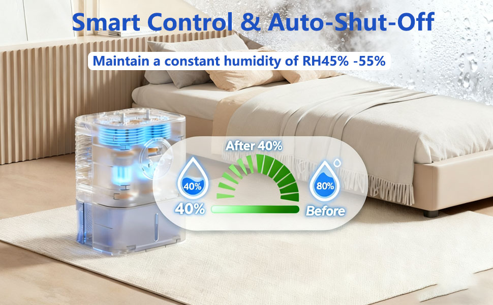 dehumidifier for basement