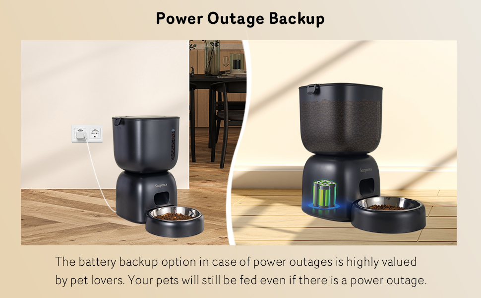 automatic cat feeder