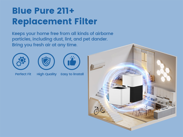 211+ Replacement Filter
