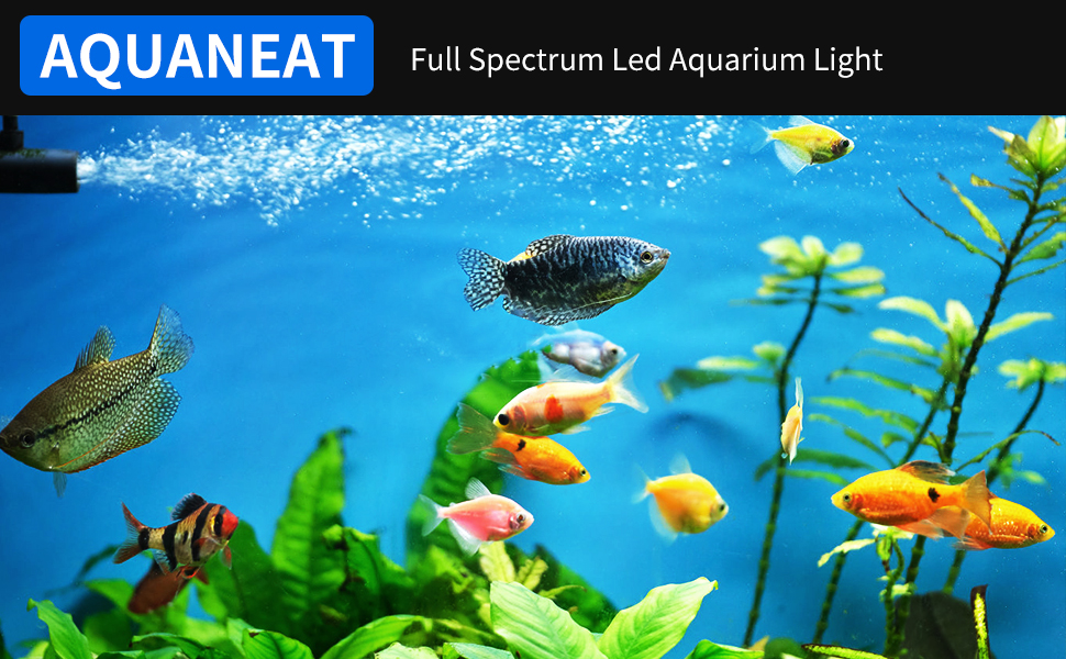 aquarium light for 12 inch fish tank