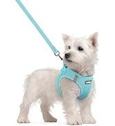 rabbitgoo Dog Harness Small Sized and Leash Set, Step in Soft Light Puppy Vest, Breathable Mesh P...